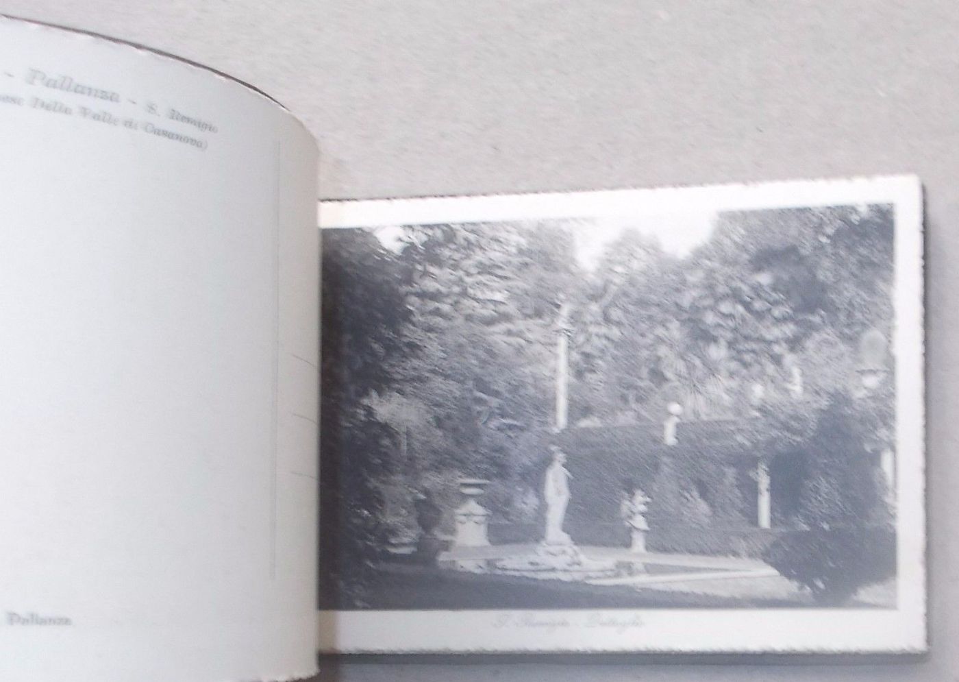 Album Cartoline Antiche Di Pallanza, Lago Maggiore, Con Stemma Araldico, Circa 1920
