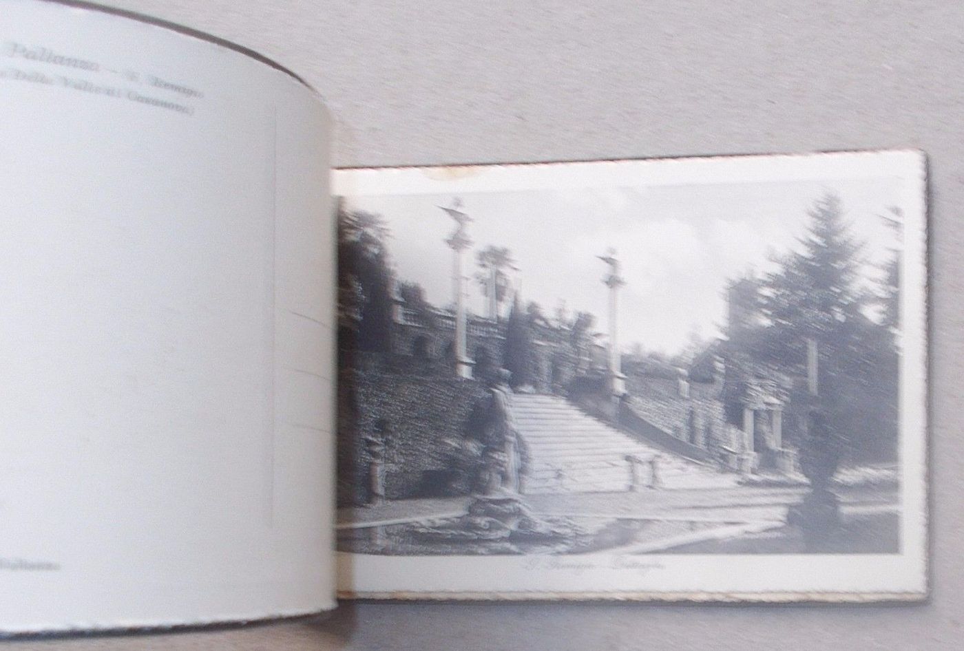 Album Cartoline Antiche Di Pallanza, Lago Maggiore, Con Stemma Araldico, Circa 1920