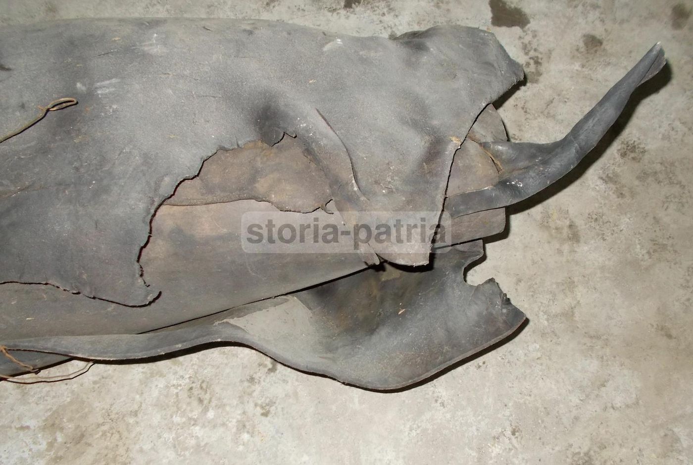 Antico Rotolo Di Cuoio Secolare Per Restauratori E Collezionisti