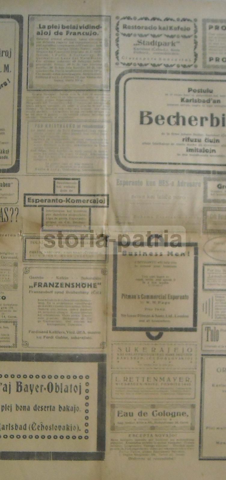 Giornale Esperanto Triumfonta Nurnberg 1922 Araldica Illustrato