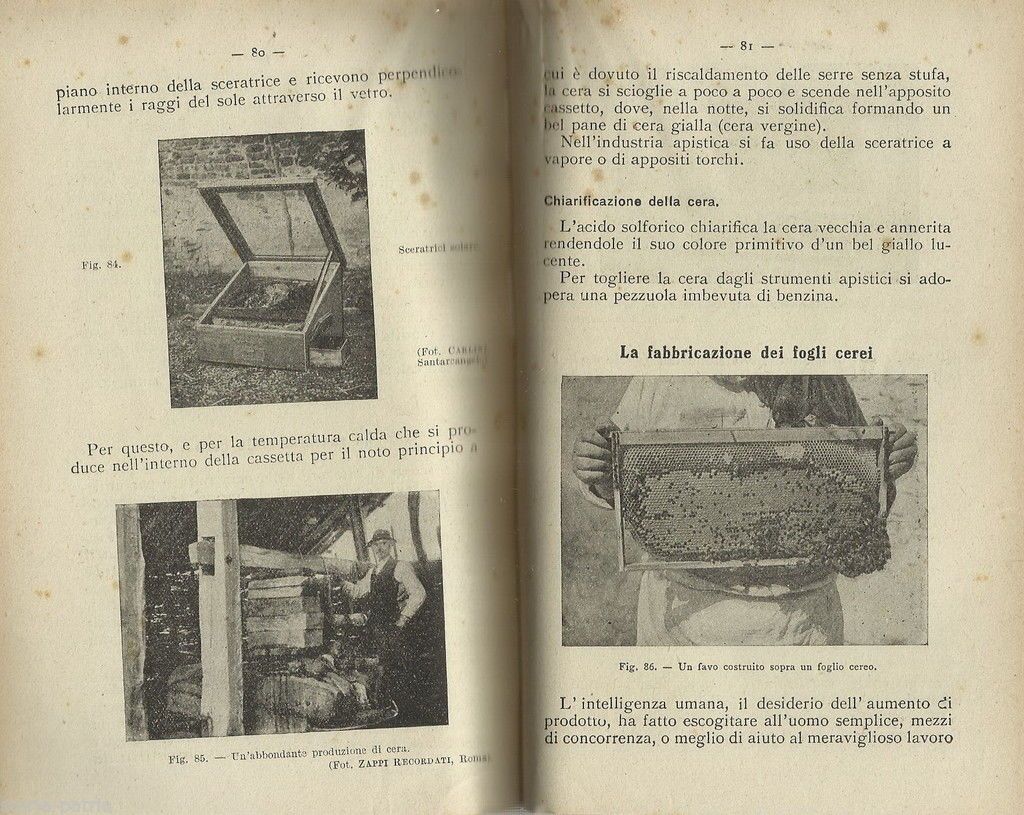 Apicoltura. Nozioni Pratiche. Olga Fiorentino, Vallardi, 1947