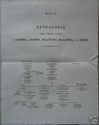 Genealogia Degli Antichi Signori Di Canossa, Estensi, Pelavicino, Malaspina E Massa (XIX Secolo)