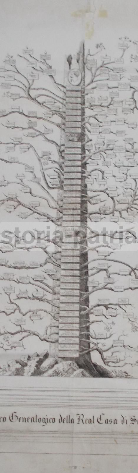 Albero Genealogico Della Real Casa Di Savoia 1003 1868 Di Alessandro Alessandrini