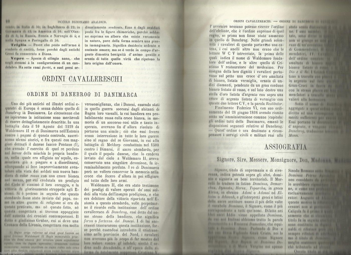 Giornale Araldico Genealogico Diplomatico Di Crollalanza, 1873, Fermo