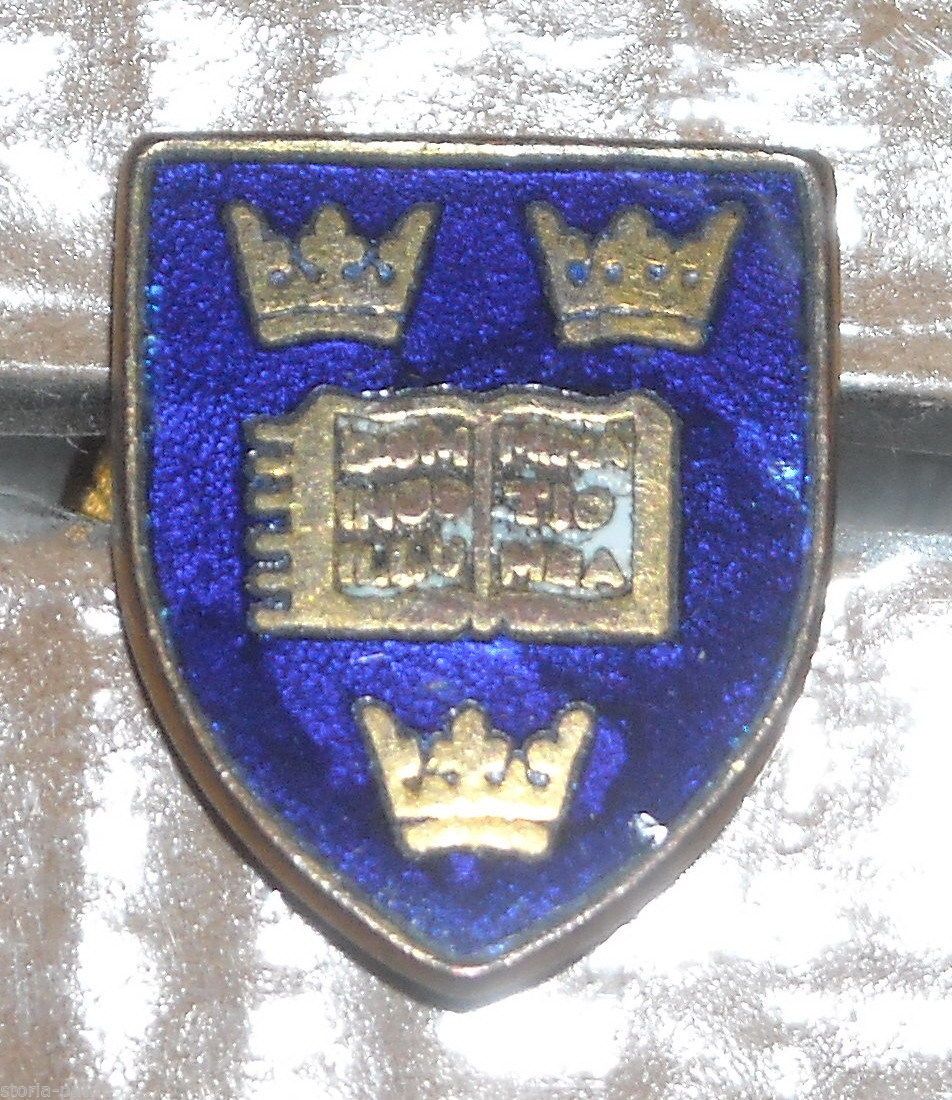 Distintivo Araldico Smaltato d'Epoca Con Stemma Dominus Illuminatio Mea