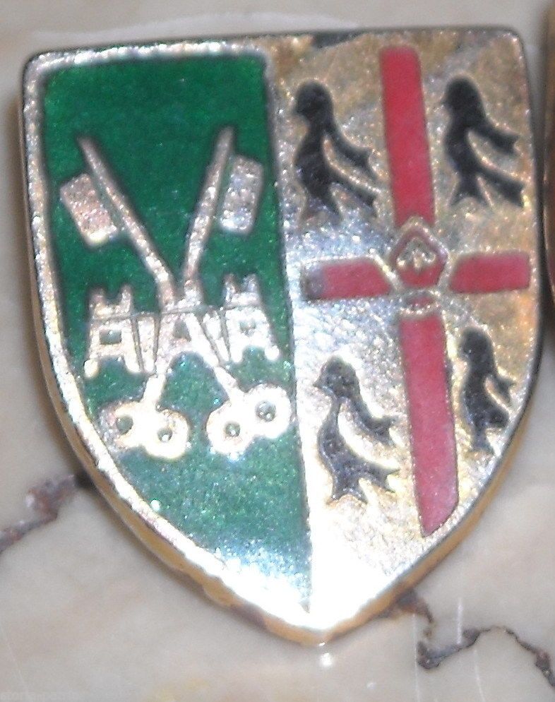 Distintivo Araldico d'Epoca A Scudo Con Smalti Colorati, Anni '50