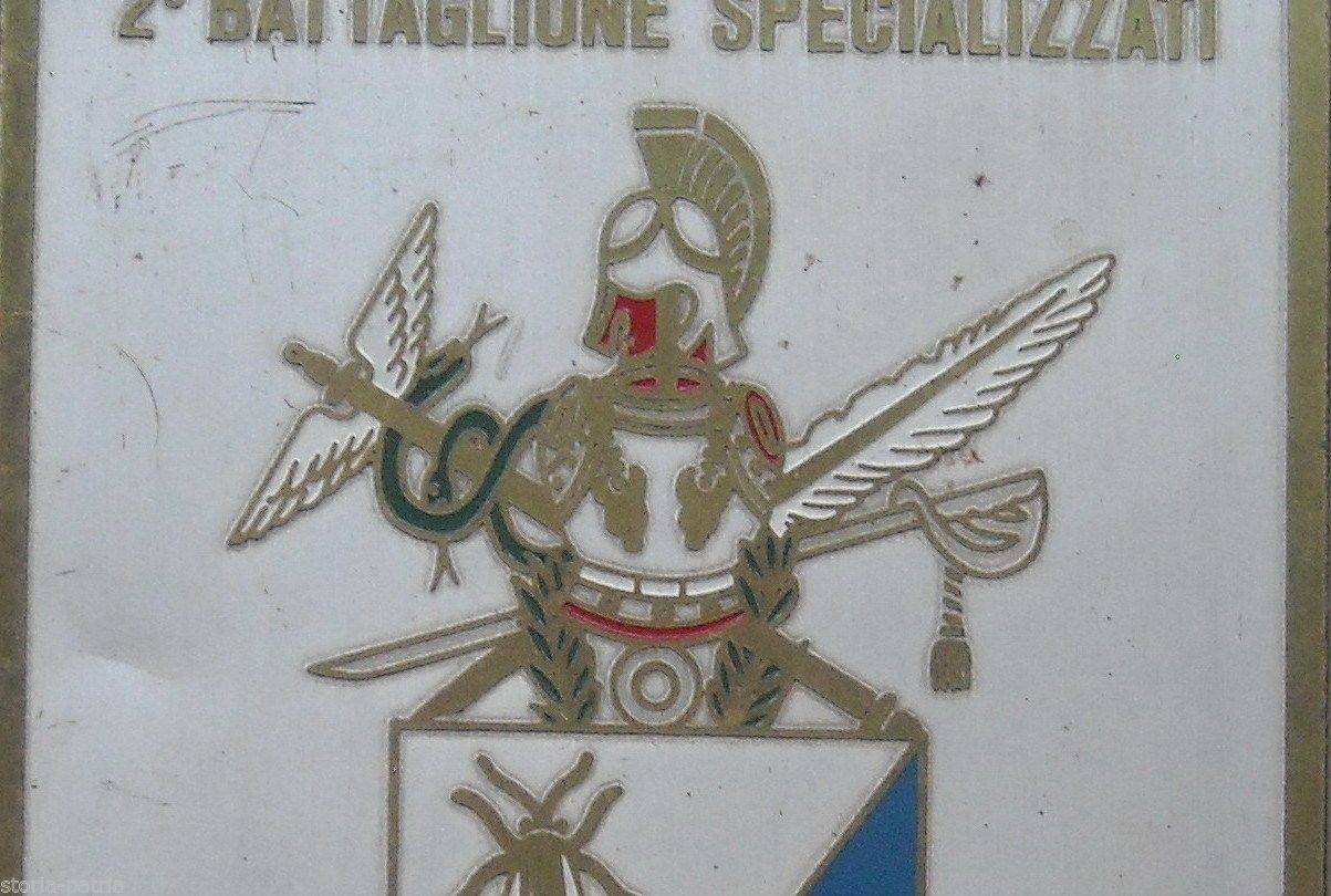 Placca Araldica 2° Battaglione Specializzati In Metallo Dorato, 1900 1950