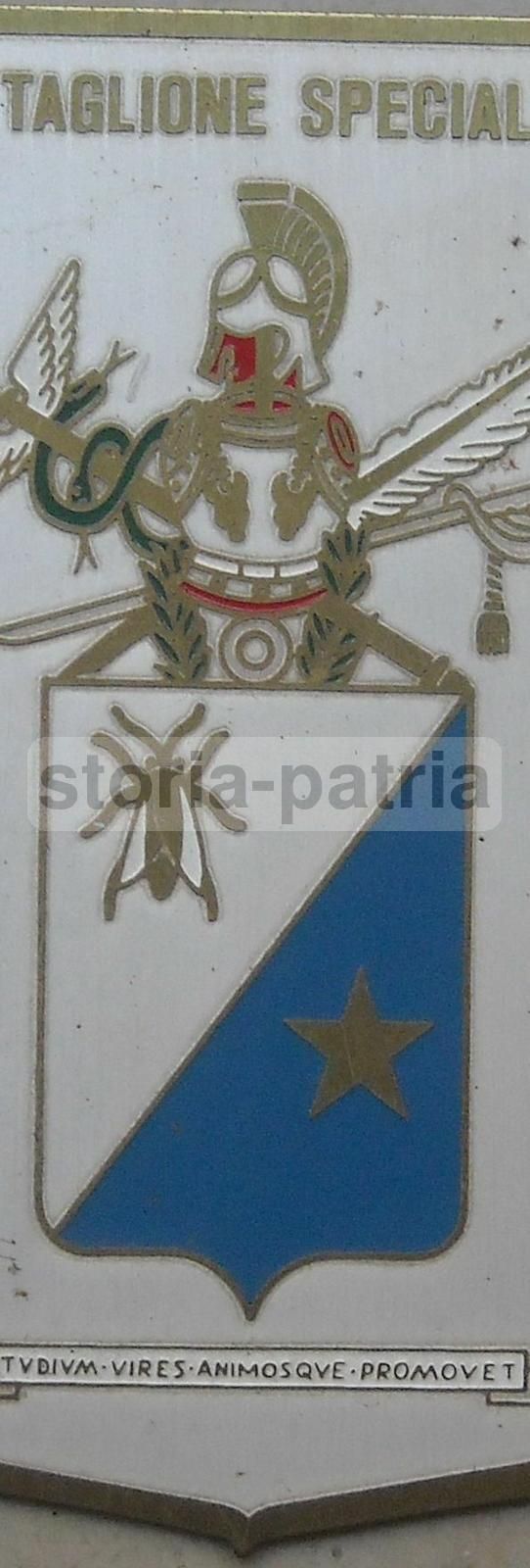 Placca Araldica 2° Battaglione Specializzati In Metallo Dorato, 1900 1950