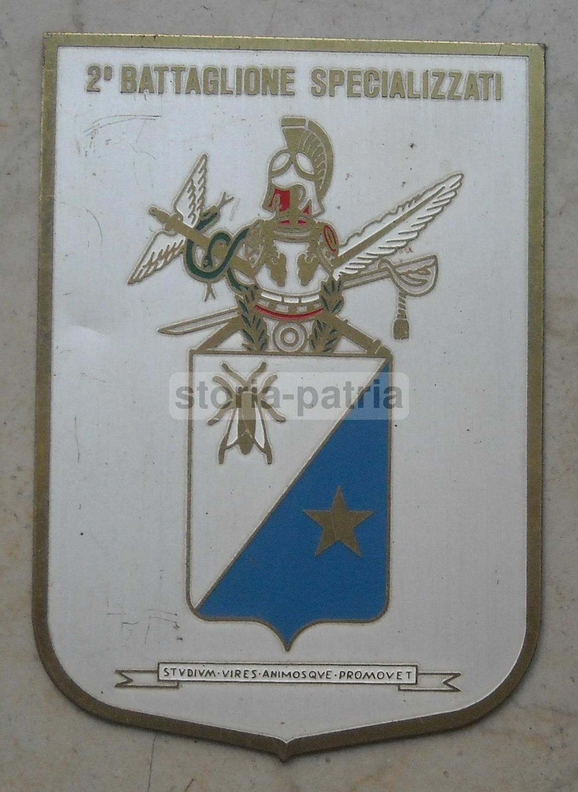 Placca Araldica 2° Battaglione Specializzati In Metallo Dorato, 1900 1950