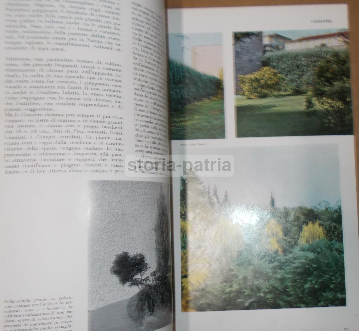 Ville E Giardini N. 91 Aprile 1964 Domodossola Parabiago Sardegna