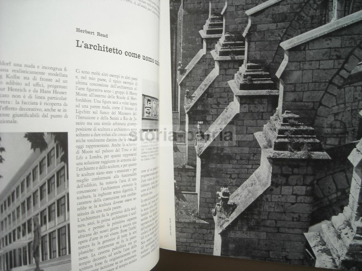 Casabella Continuità N. 205 1955 Rogers Albini Gregotti Napoli