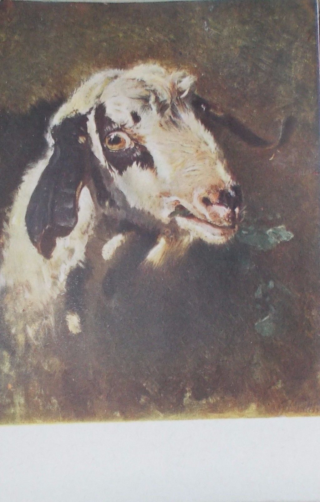 Cartolina Antica Filippo Palizzi "Capretta"   Abruzzo, Primo '900