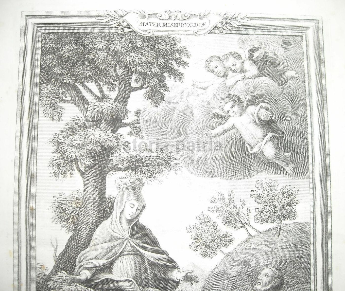 Incisione Antica: Madonna Della Misericordia, Savona, Faldoni, XVIII Secolo
