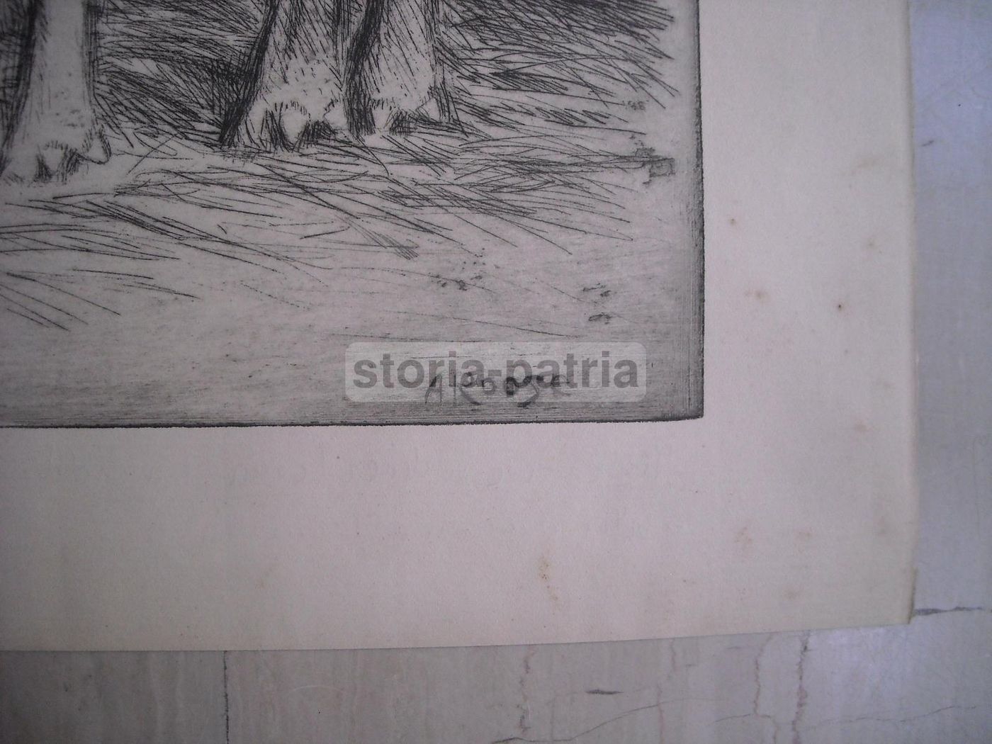 Incisione Antica Stalla Con Bovini A. Roose Acquaforte 1900