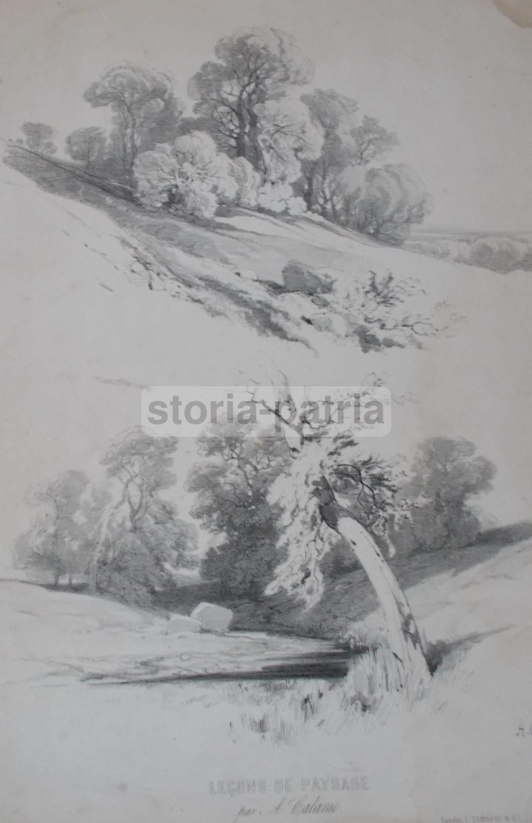 Antica Litografia Di Alexandre Calame: Leçons De Paysage (1850)
