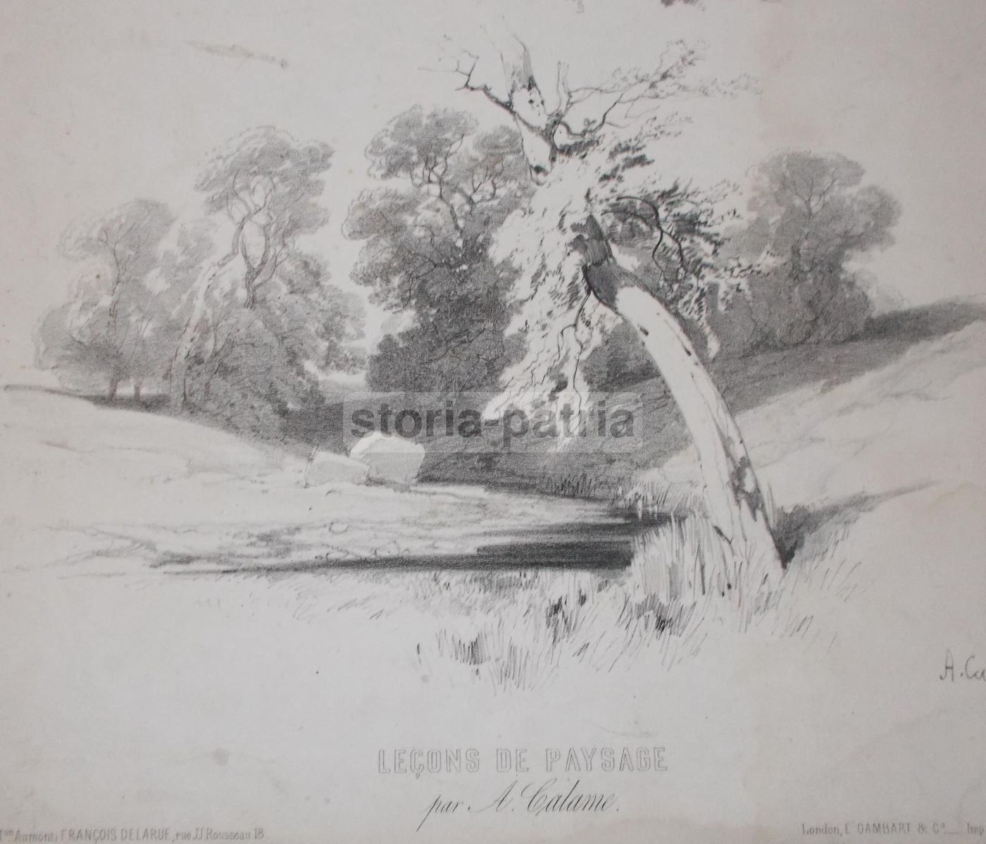Antica Litografia Di Alexandre Calame: Leçons De Paysage (1850)