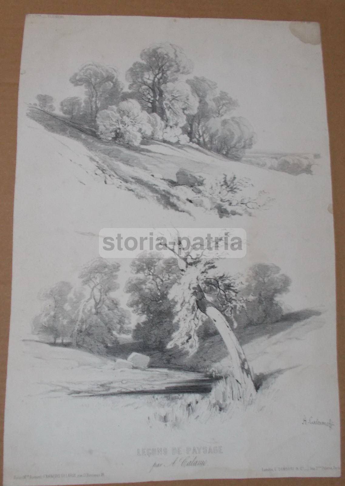 Antica Litografia Di Alexandre Calame: Leçons De Paysage (1850)