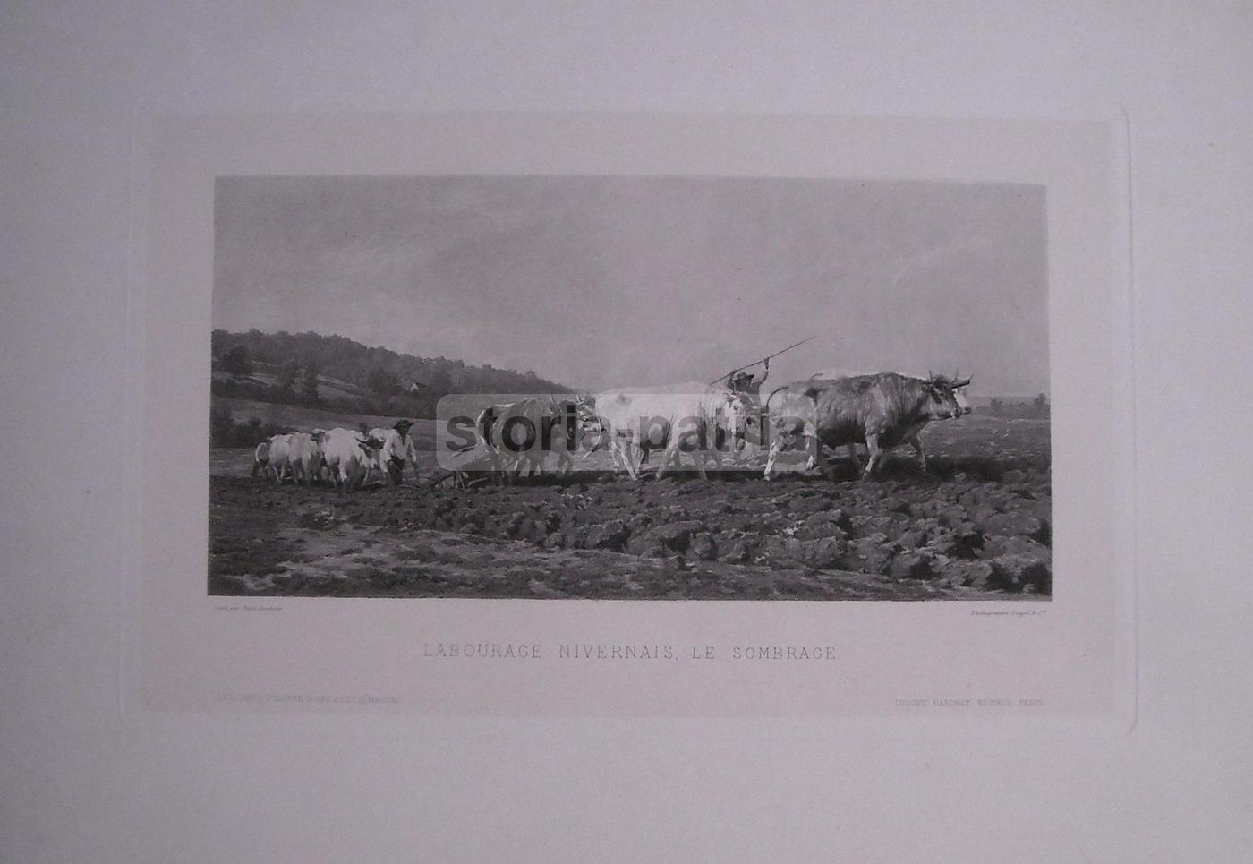 Rosa Bonheur: Labourage Nivernais. Fotogravure Goupil & C. Editore L. Baschet.