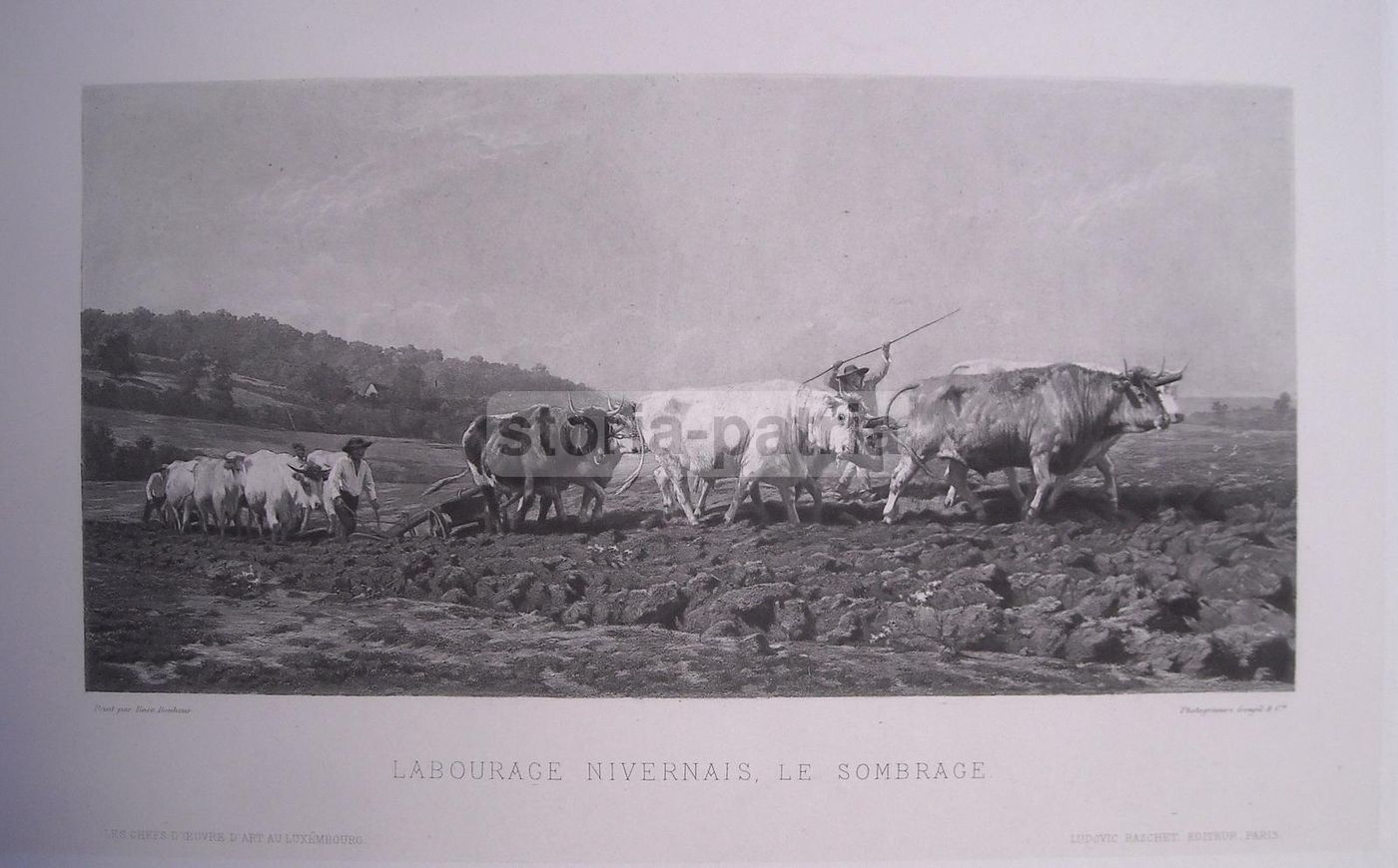 Rosa Bonheur: Labourage Nivernais. Fotogravure Goupil & C. Editore L. Baschet.