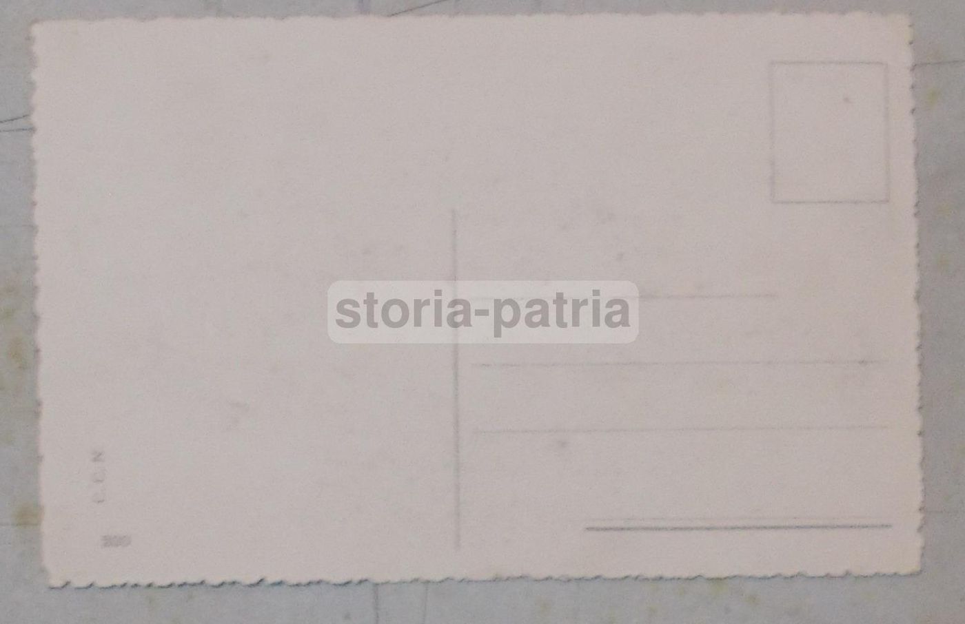 Cartolina Antica Luigi Asthon: Veduta Di Gallarate, Anni '20