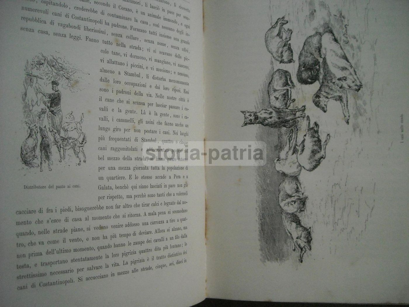 Costantinopoli. Edmondo De Amicis, Illustrazioni Di Cesare Biseo, 1882.