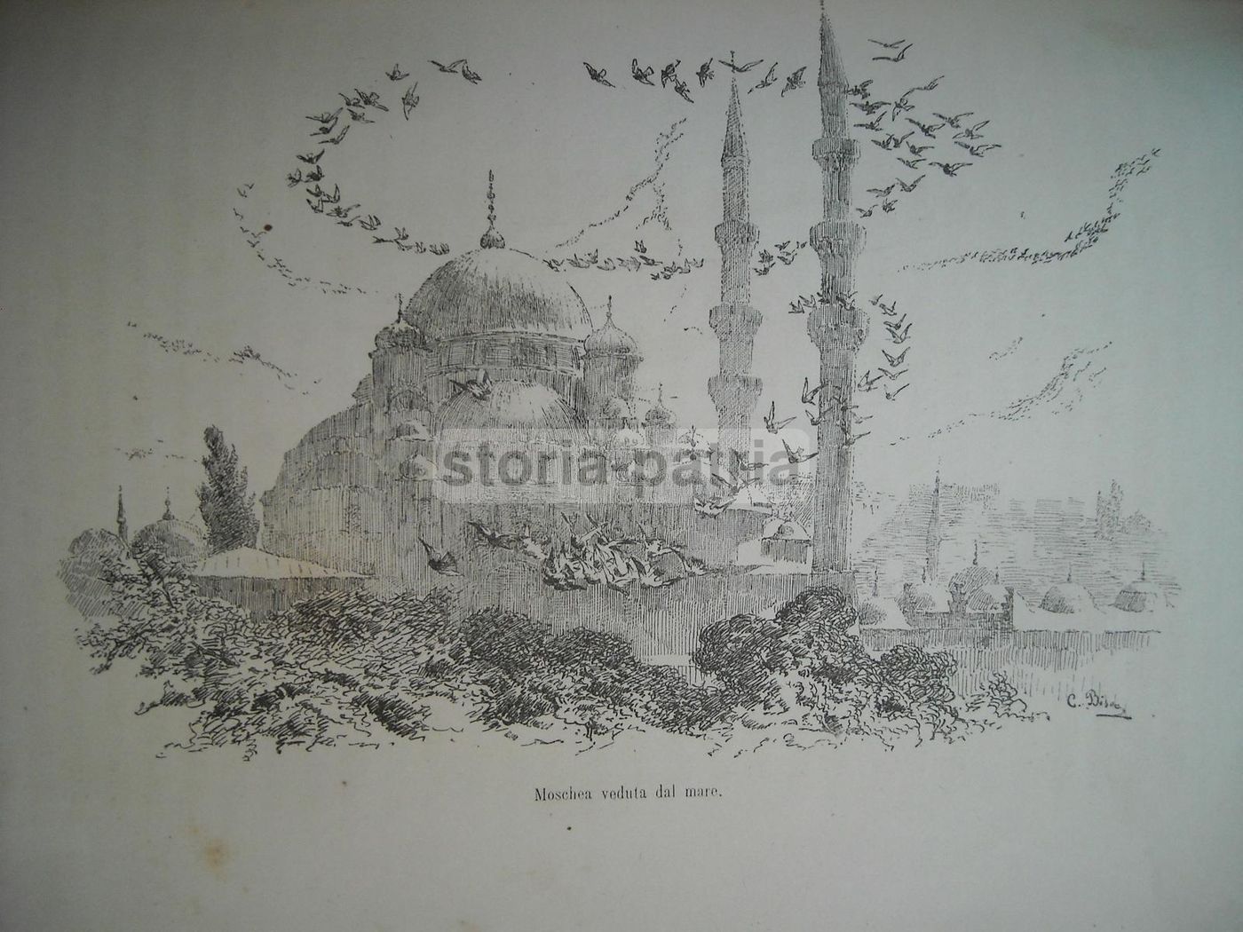Costantinopoli. Edmondo De Amicis, Illustrazioni Di Cesare Biseo, 1882.
