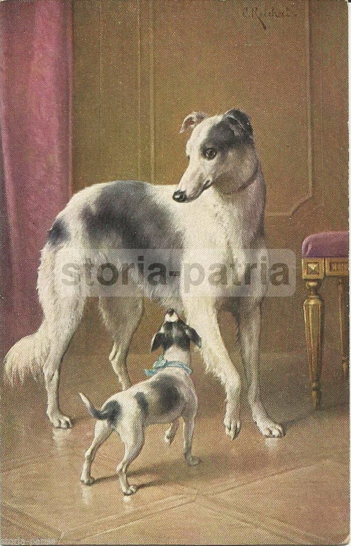 Cartolina Antica Con Cani In Elegante Interno, R. Tuck & Sons, Anni '20