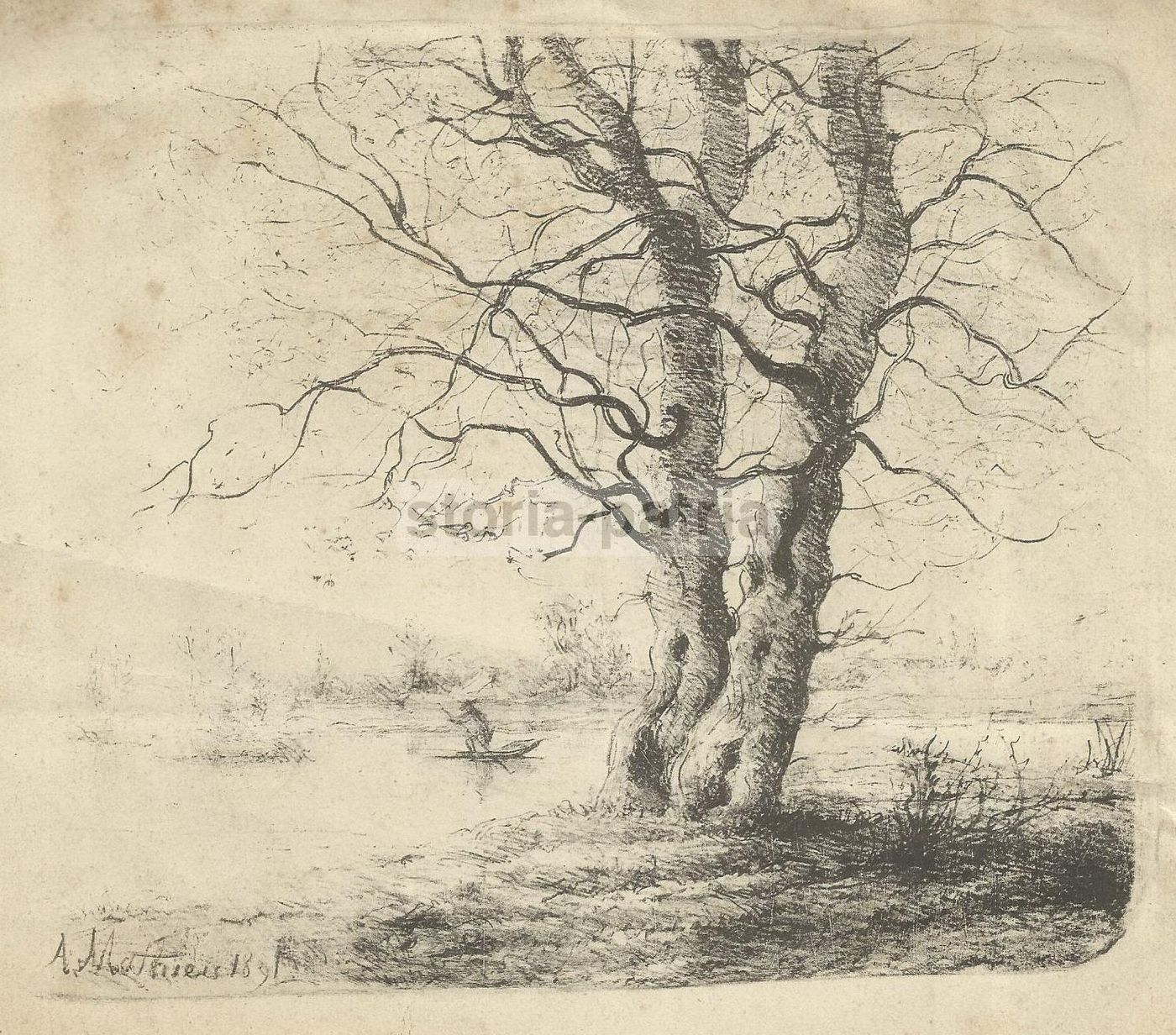 Stampa Antica Paesaggio, A. Mathieu, 1891, Albero E Barca, Litografia