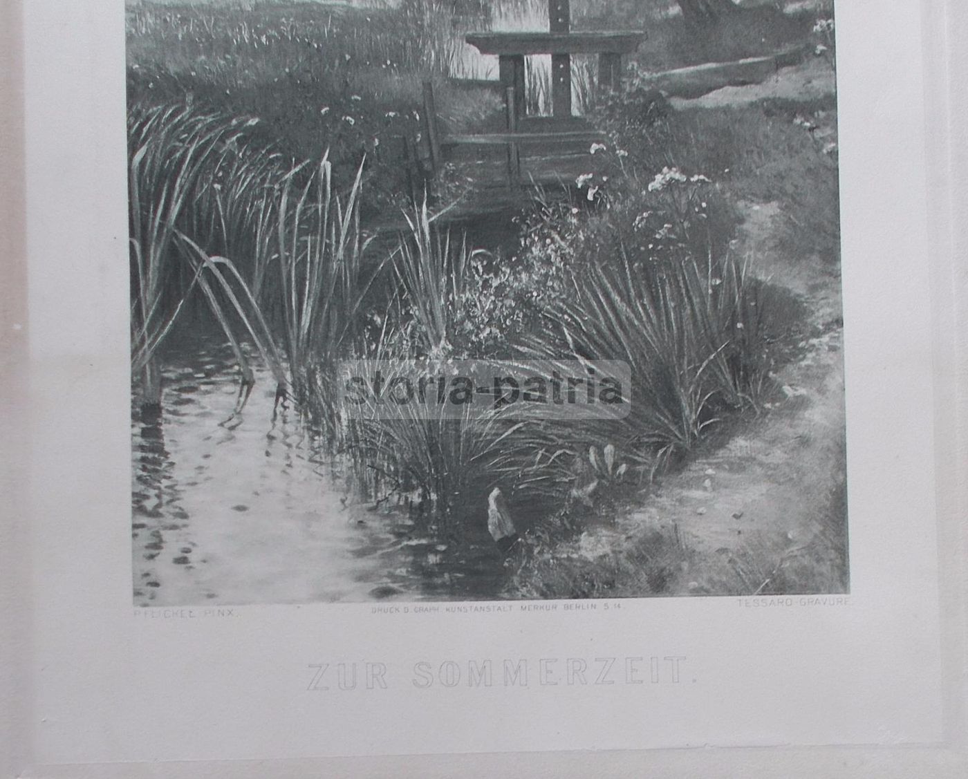 Stampa Antica Tessaro Da Flickel, Paesaggio Estivo, Berlino 1900