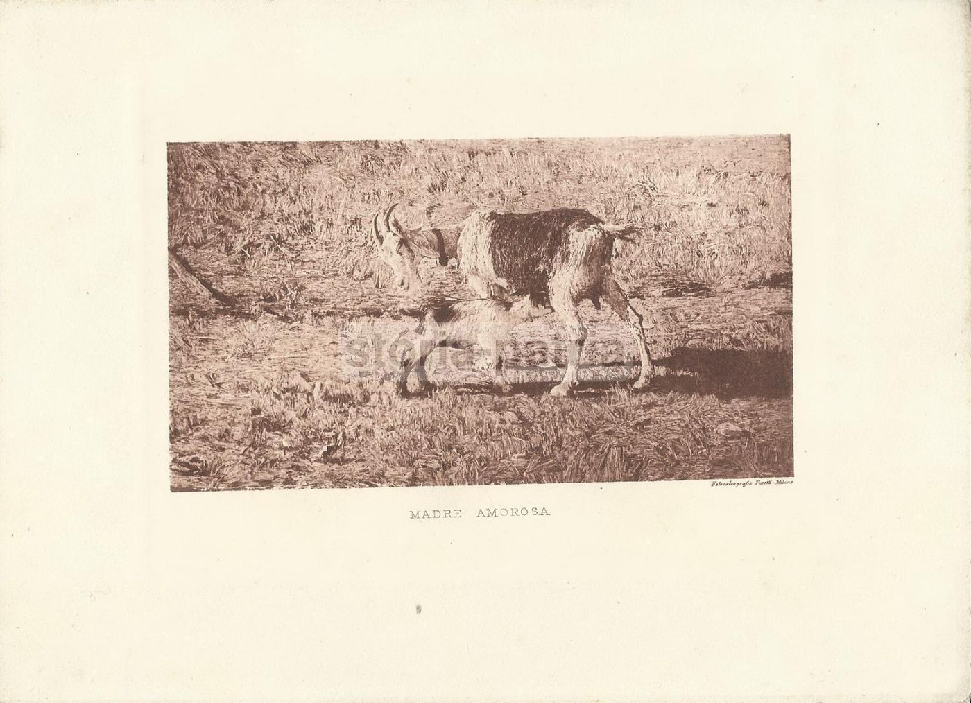 Madre Amorosa: Stampa Antica Ispirata A Giovanni Segantini, Fotocalcografia Fusetti, Milano, Anni '20