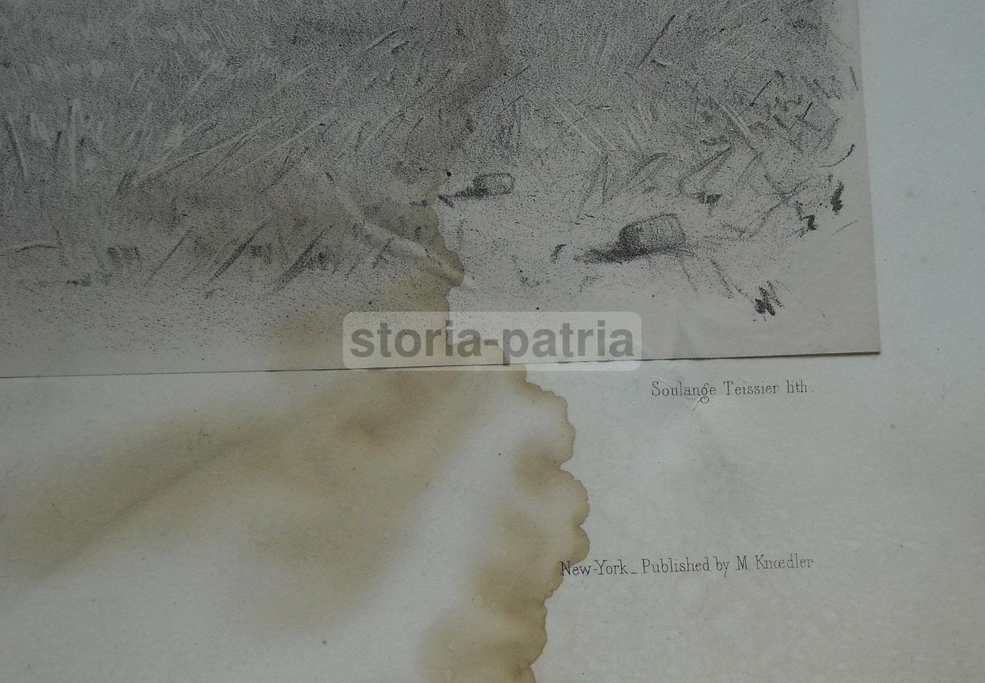 Litografia Antica Rosa Bonheur: Boeuf Du Cantal, Lemercier Peyrol
