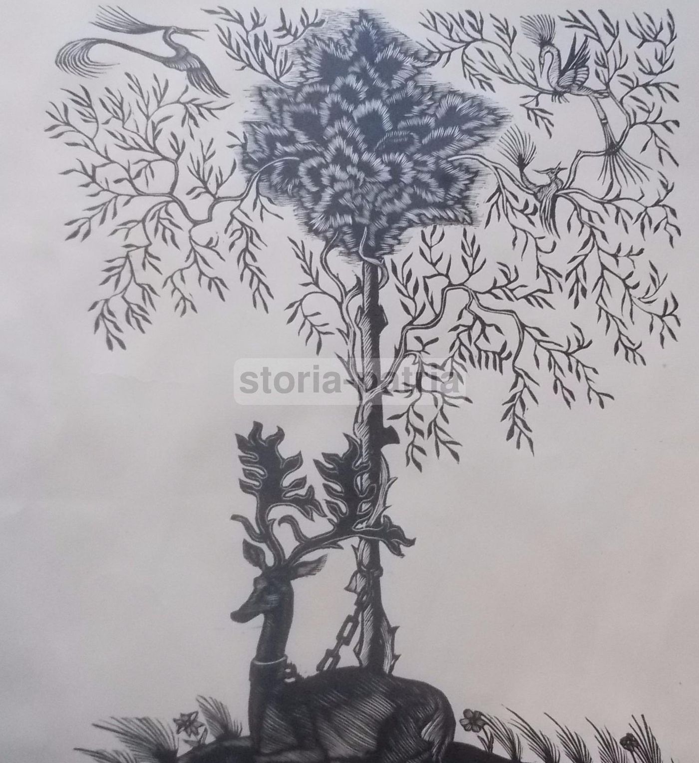Xilografia Bruno Da Osimo Allegoria Con Cervo Ancona 1940