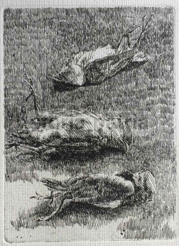 Acquaforte Con Tre Uccelli Attribuita A Leonardo Castellani