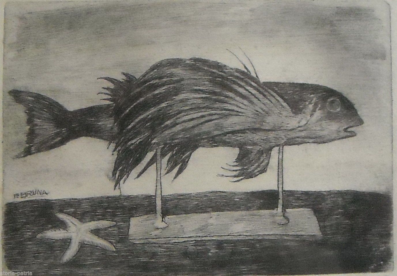 Incisione Originale F. Bruna "Il Pesce Rondine", 1963