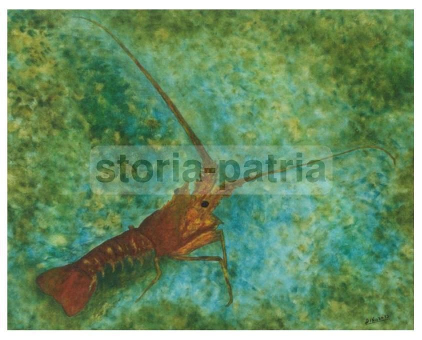 Dipinto Aragosta Francesco Di Naro 1973 Olio Su Tela 65x75 Cm
