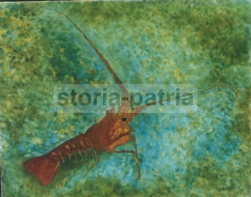 Dipinto Aragosta Francesco Di Naro 1973 Olio Su Tela 65x75 Cm