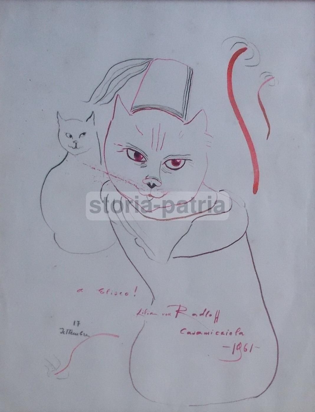 Disegno Gatti Lilian Von Radloff Casamicciola Ischia 1961