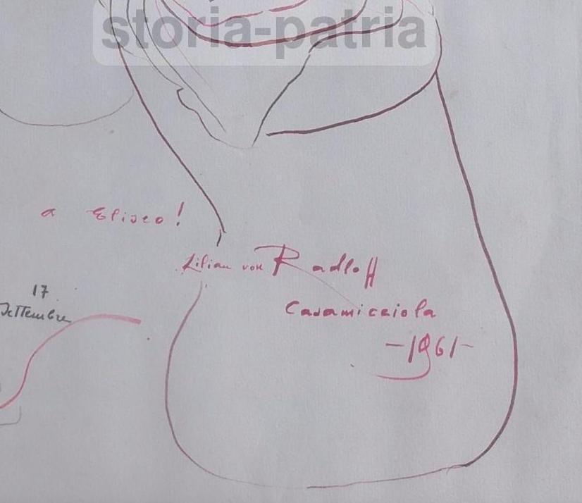 Disegno Gatti Lilian Von Radloff Casamicciola Ischia 1961