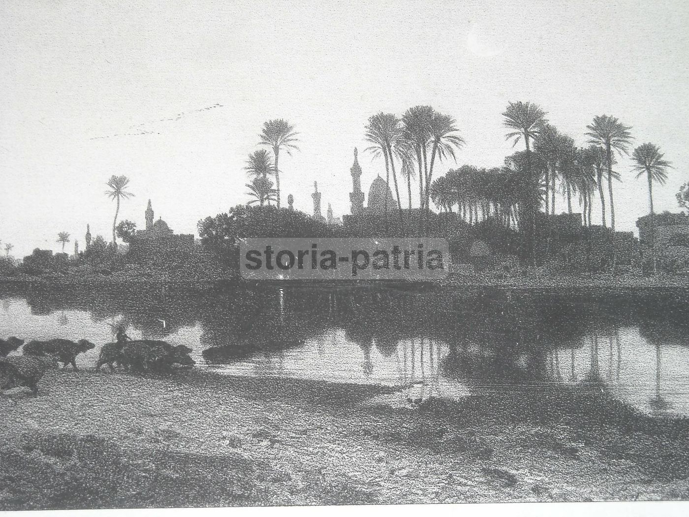 Litografia Orientalista Marilhat Antica Veduta Pastorale 800