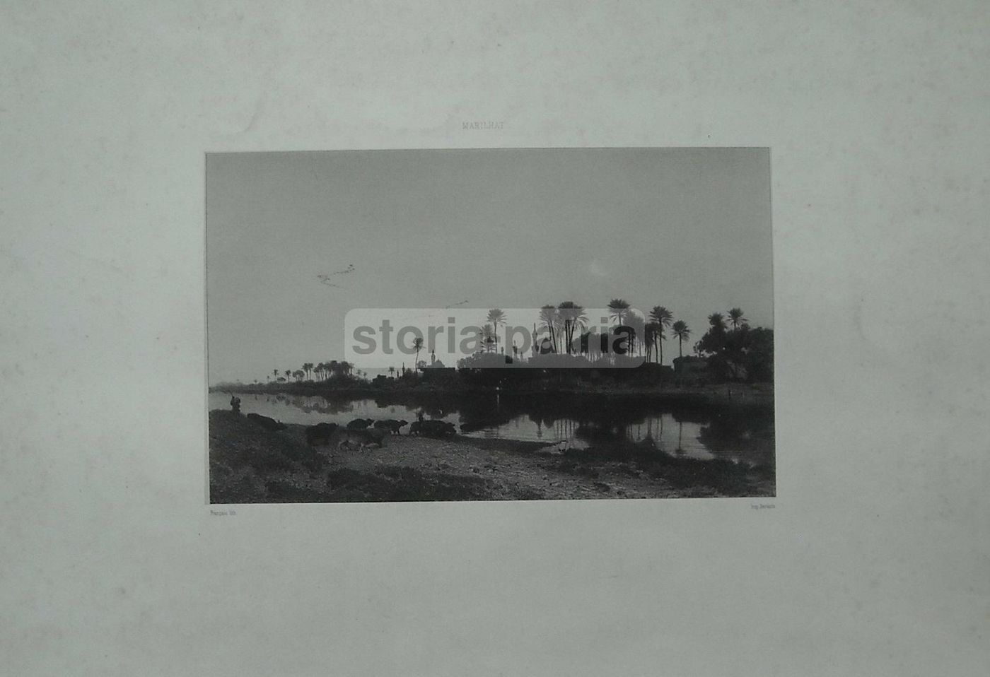 Litografia Orientalista Marilhat Antica Veduta Pastorale 800