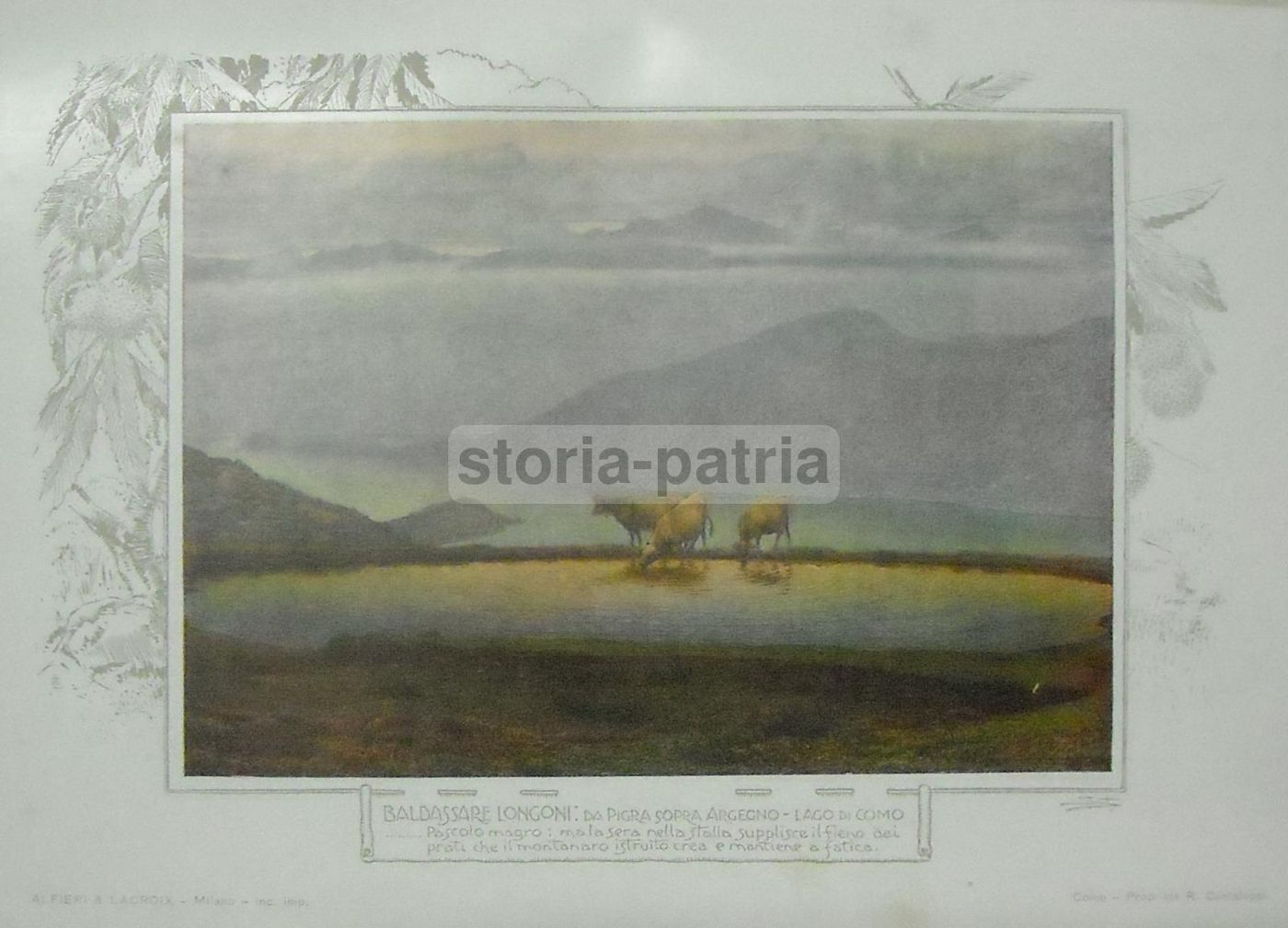 Longoni, Pigra Sopra Argegno (Lago Di Como). Stampa Antica, 1910 1920