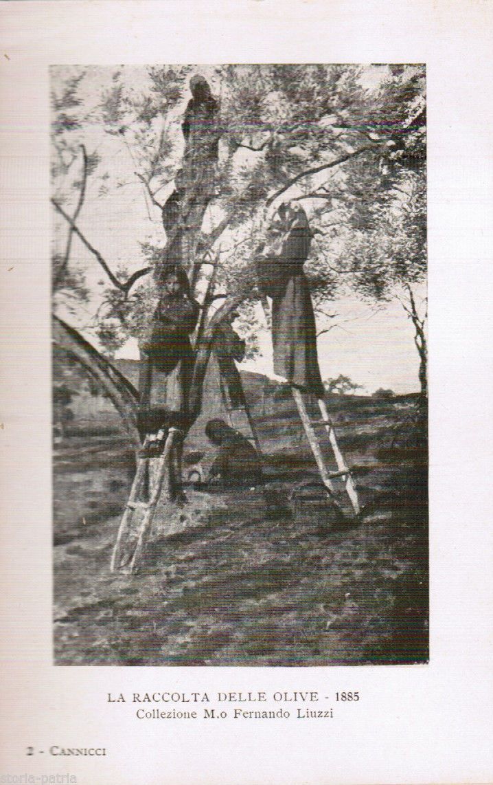 Niccolò Cannicci: Monografia Del Pittore Toscano, Catalogo 1920, Celanza, Torino