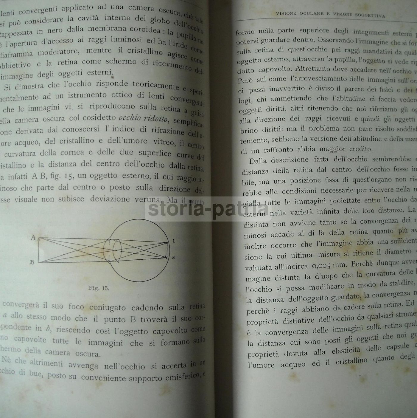 Gaetano Previati: La Tecnica Della Pittura E I Principi Scientifici Del Divisionismo (1905 1906)