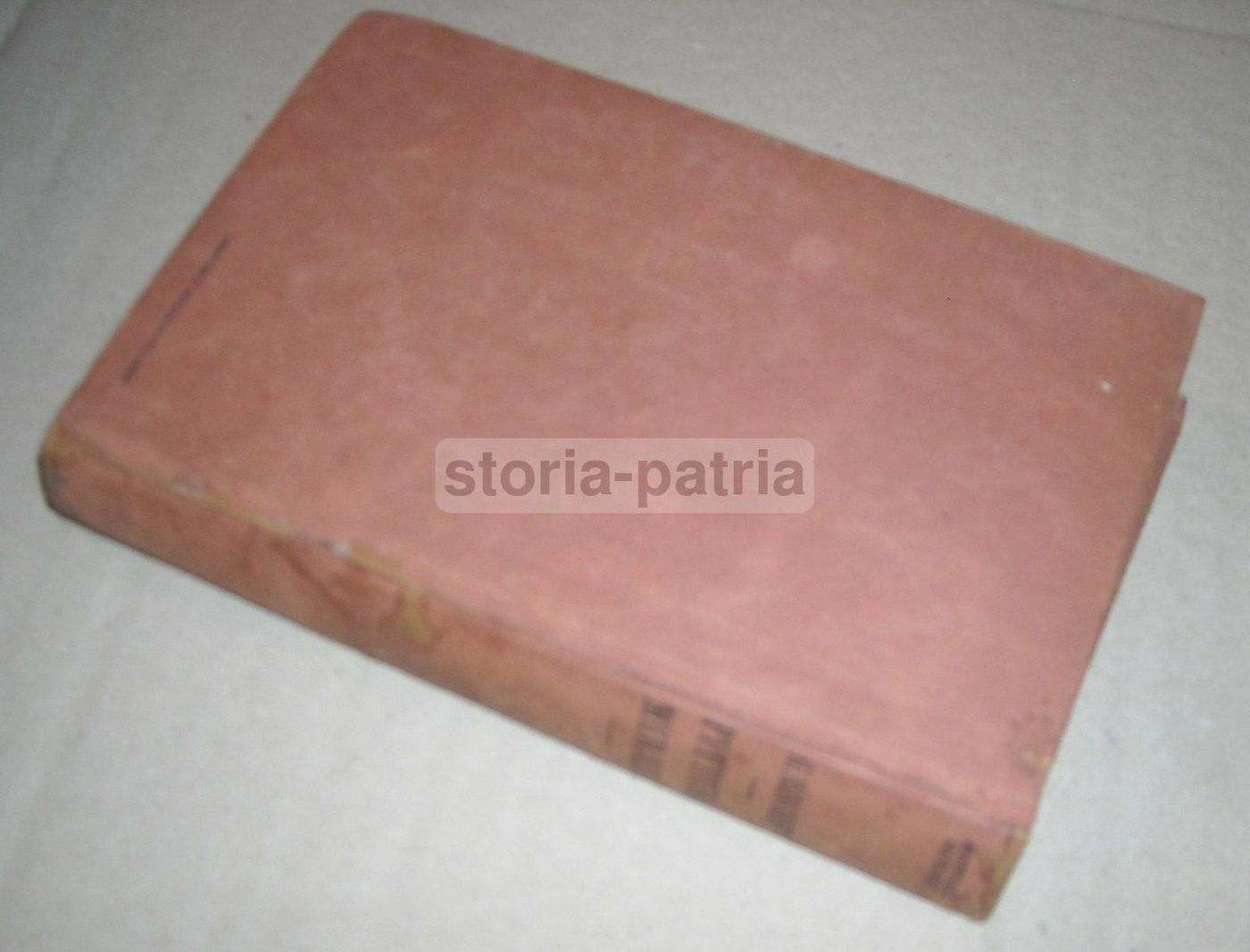 Manuale Di Pittura Murale: Tecniche Artistiche Per L'Artista Decoratore
