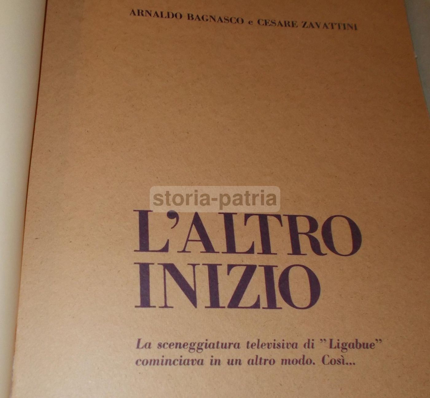 Ligabue: Cartella Con 5 Acqueforti Originali, Zavattini E Bartoli, 1977