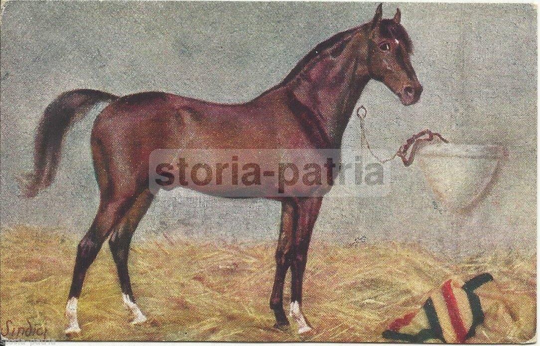 Cartolina d'Epoca Con Cavallo E Tricolore, Anni '20 '30, Edizione T.A.M.