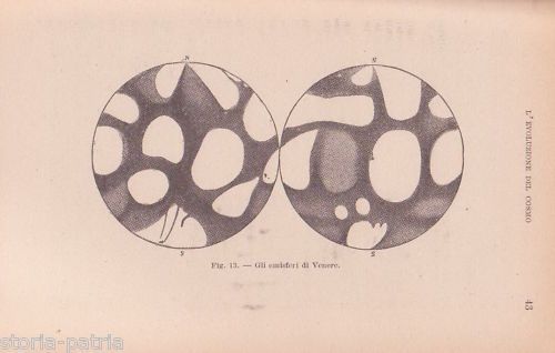 L'Evoluzione Del Cosmo. I. Del Giudice, 1943. Astronomia