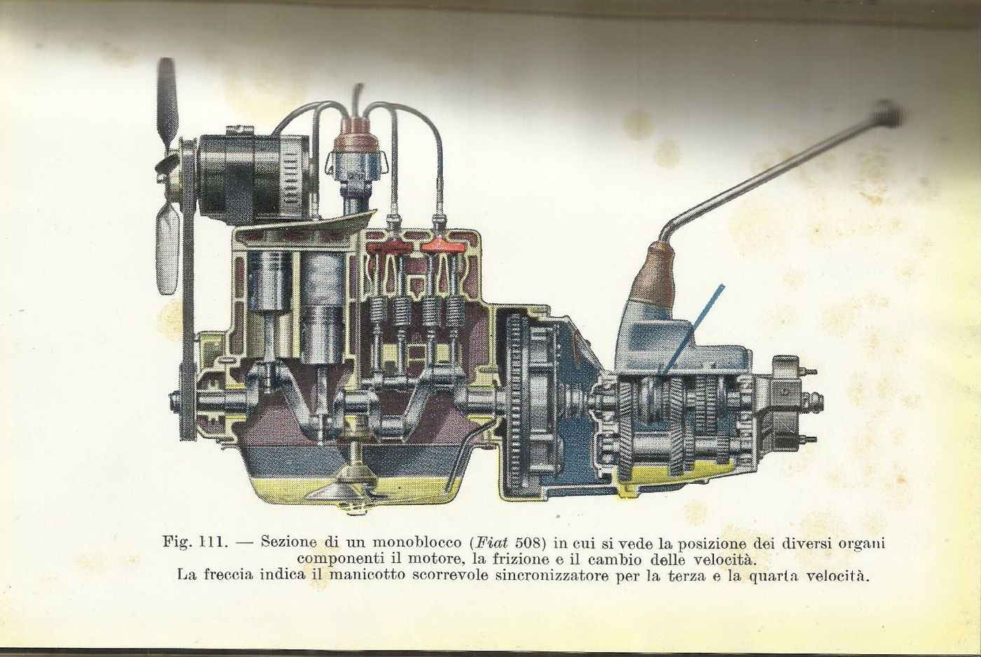 L'Automobile In Dieci Lezioni (Domenico Moneti, 1949)