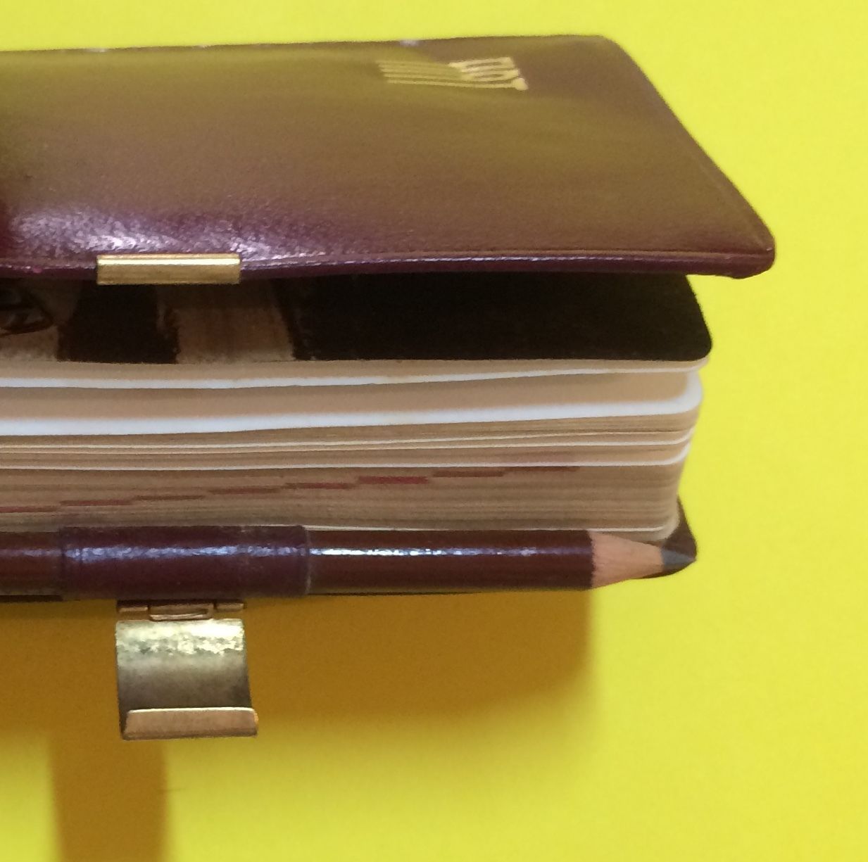 Agenda Pubblicitaria Fiat 1957 Con Copertina In Pelle Nazareno Gabrielli
