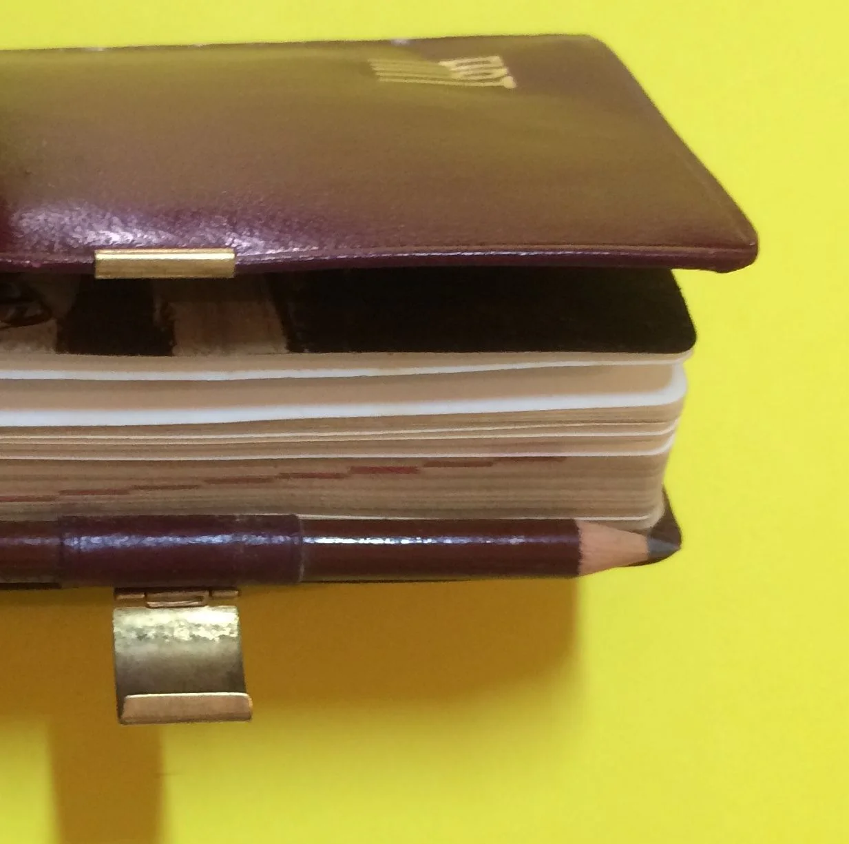 Fiat Advertising Diary 1957 Leather Nazareno Gabrielli